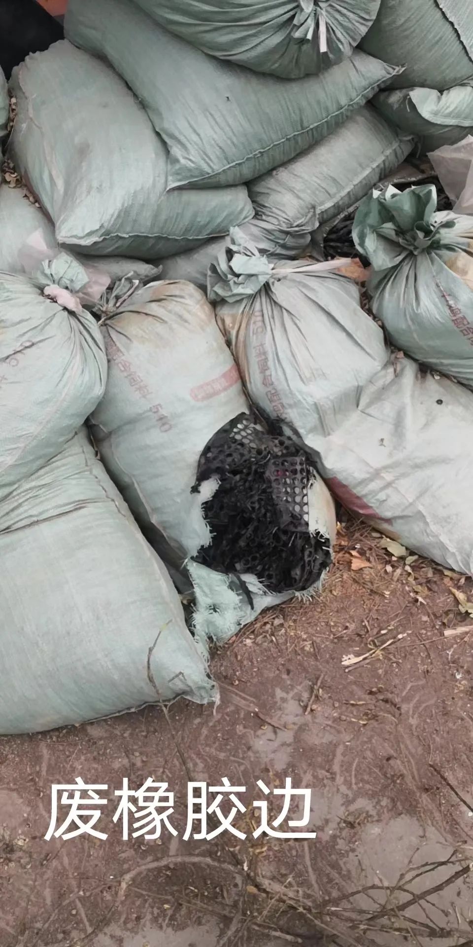 1704866918135977.jpg 1704866918135977.jpg